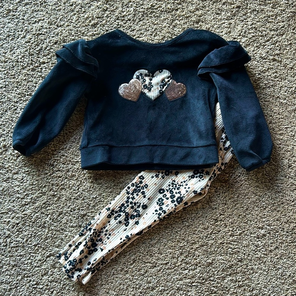 Matching pant and velvet like sweater set